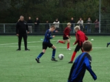 S.K.N.W.K. JO12-1JM - Bevelanders JO11-1 (beker) 2024-2025 (1e fase) (25/100)